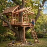 Best Treehouse Kits for DIY Builders