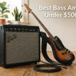 Best Bass Amps Under $500