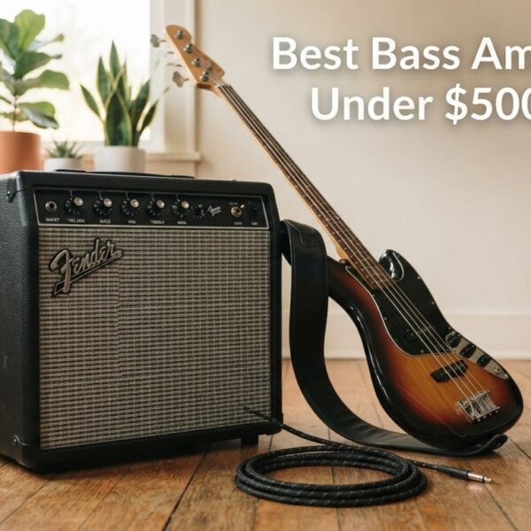 Best Bass Amps Under $500