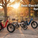 Best Electric Trikes for Adults