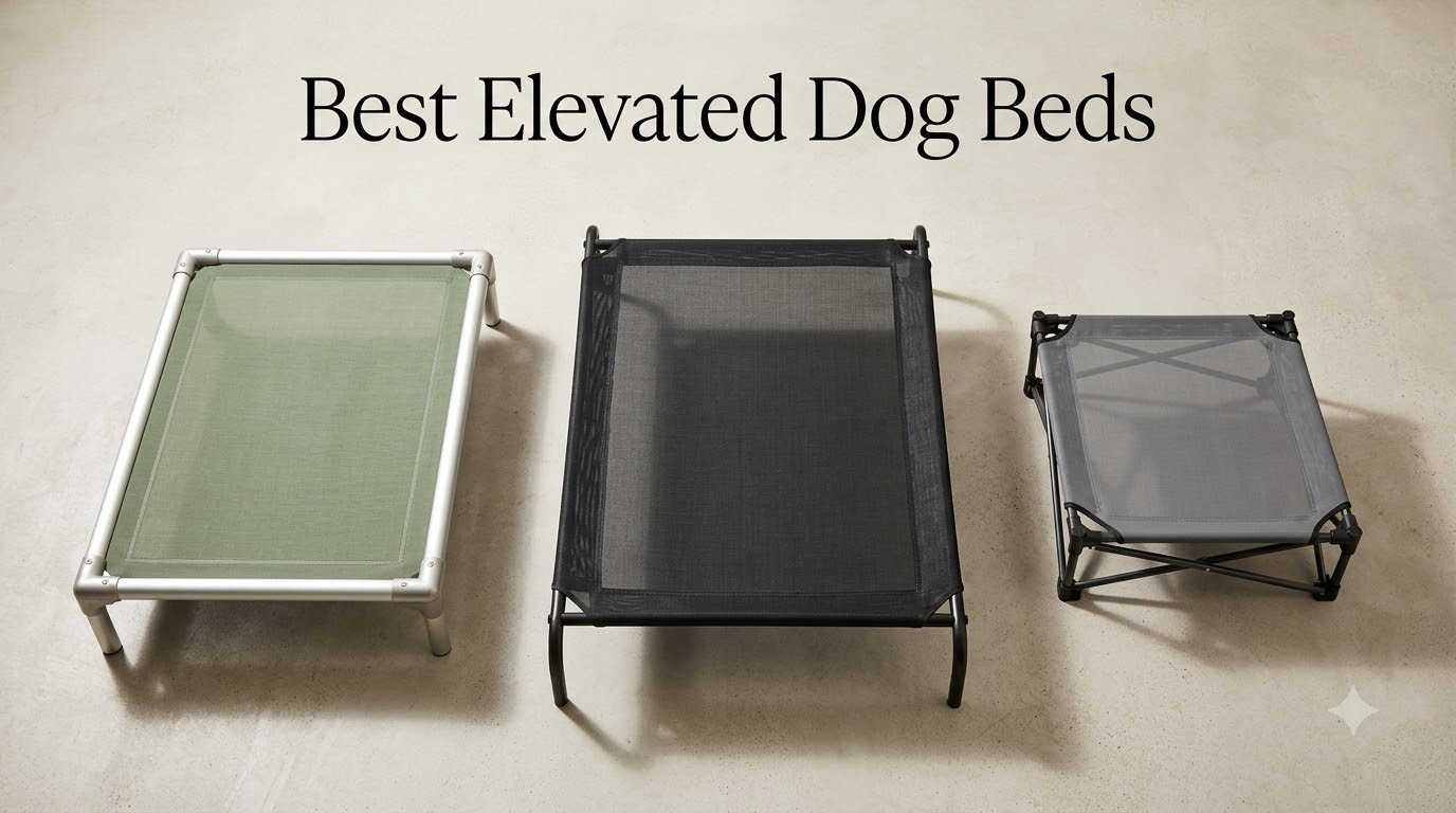 Best Elevated Dog Beds