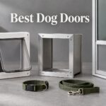 Best Dog Doors