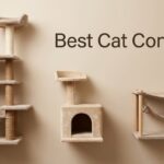 Best Cat Condos