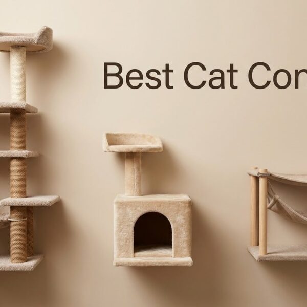 Best Cat Condos