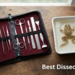 Best Dissection Kits