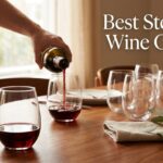 Best Stemless Wine Glasses