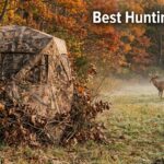 Best Hunting Blinds