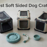 Best Soft Sided Dog Crates