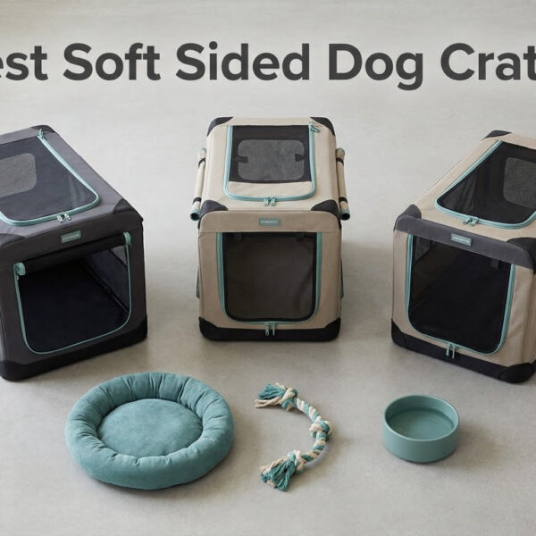 Best Soft Sided Dog Crates