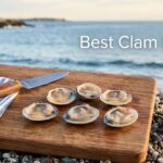 Best Clam Knives