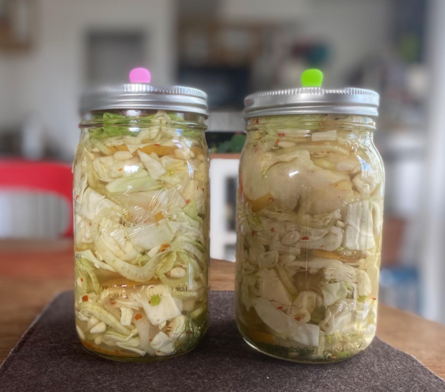 The Farmhouse Culture Guide to Fermenting: Crafting Live-Cultured Foods and Drinks with 100 Recipes from Kimchi to Kombucha[A Cookbook] customer photo 2