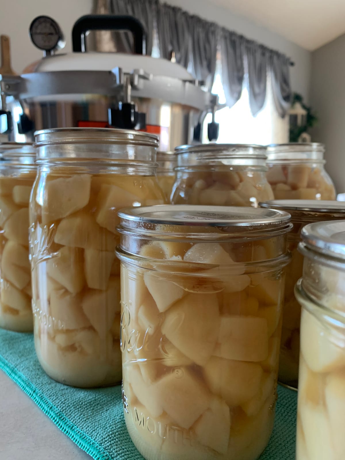 The Amish Canning Cookbook: Safe Home Canning Guide with Step-by-Step Recipes for Beginners and Pantry Building customer photo 2