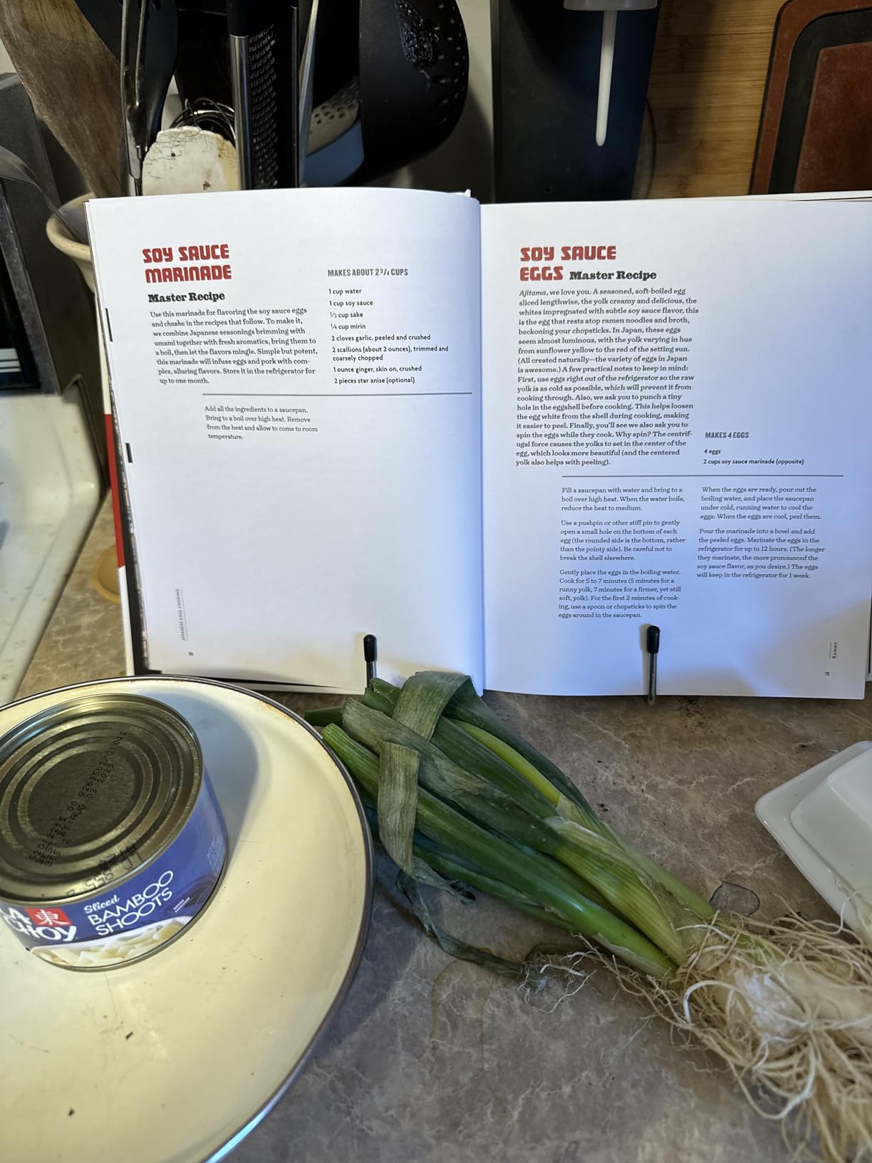 Japanese Soul Cooking: Ramen, Tonkatsu, Tempura, and More from the Streets and Kitchens of Tokyo and Beyond [A Cookbook] customer photo 1