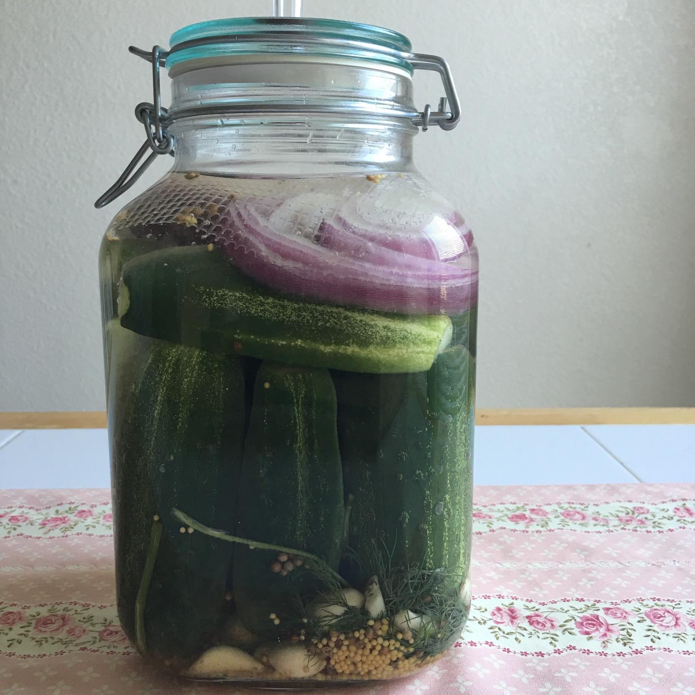 Fermented Vegetables, 10th Anniversary Edition: Creative Recipes for Fermenting 72 Vegetables, Fruits, & Herbs in Brined Pickles, Chutneys, Kimchis, Krauts, Pastes & Relishes customer photo 2