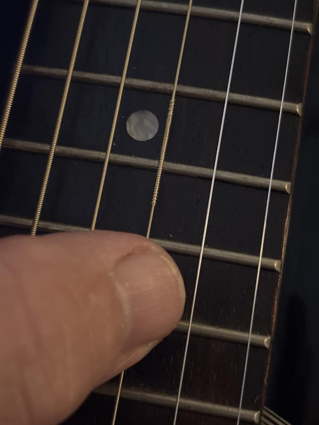 Ernie Ball Earthwood Medium Light 80/20 Bronze Acoustic Guitar Strings, 12-54 Gauge (P02003) customer photo 1