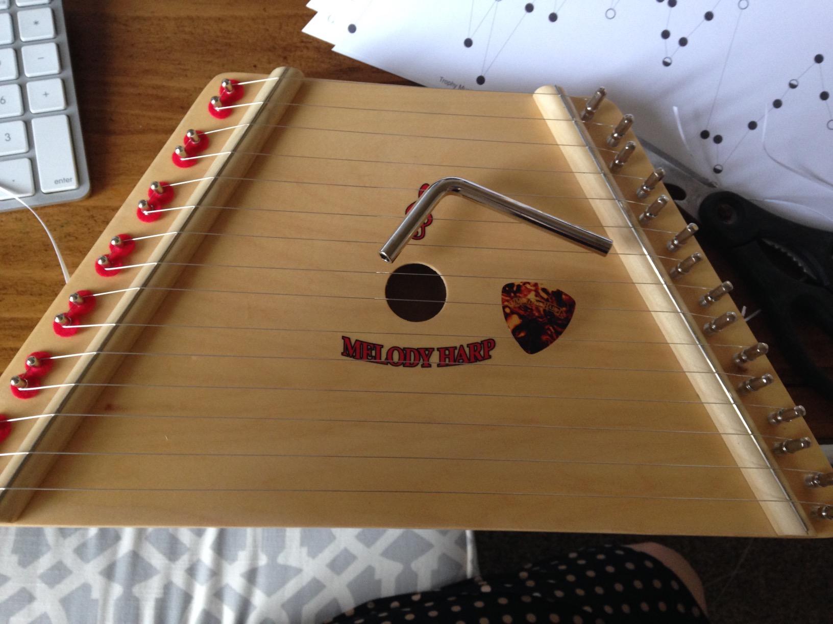First Note FN600 Firstnote Melody Harp customer photo 2