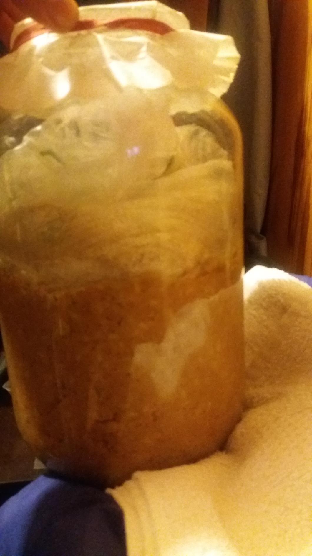 MIYAKO KOJI 200g/ Malted rice for making Miso, Sweet Sake, Pickles by Isesou (Basic) customer photo 2