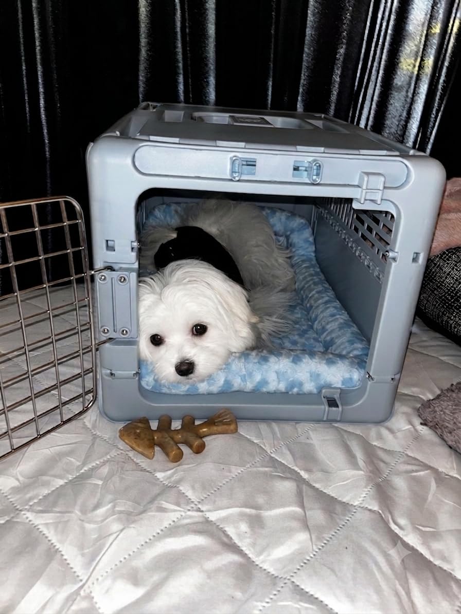 MidWest Homes for Pets QuietTime XXS Dog Bed - Gray Faux Fur Bolster, Ultra-Soft and Machine Washable, Fits 18-Inch Crates and Carriers, for Small Dogs and Cats customer photo 2