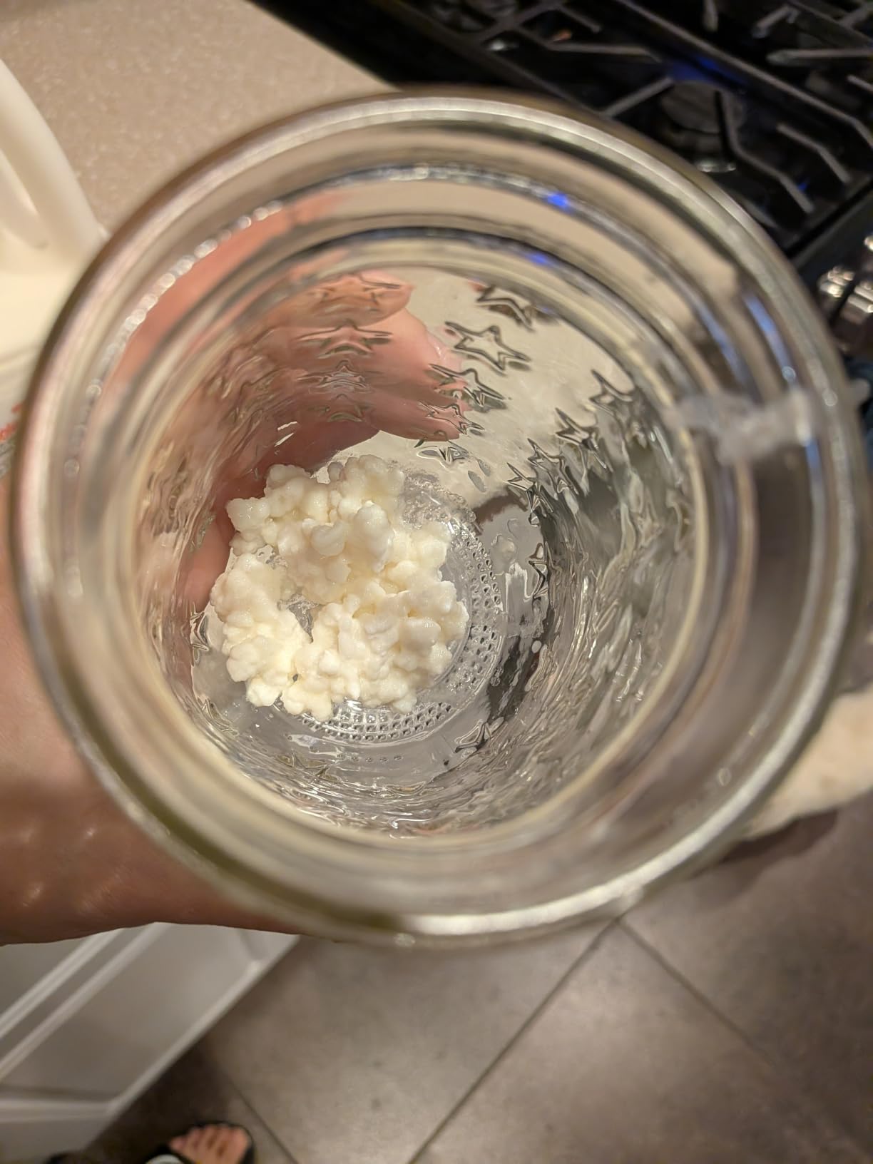 1 TBSP Milk Kefir Grains - Fresh Probiotic Starter Culture - Fusion Teas customer photo 2