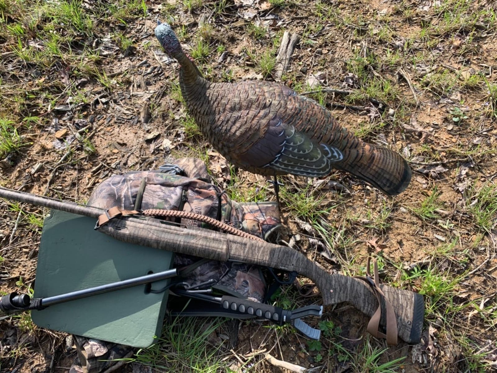 Avian X LCD Lookout Hen Turkey Decoy customer photo 2