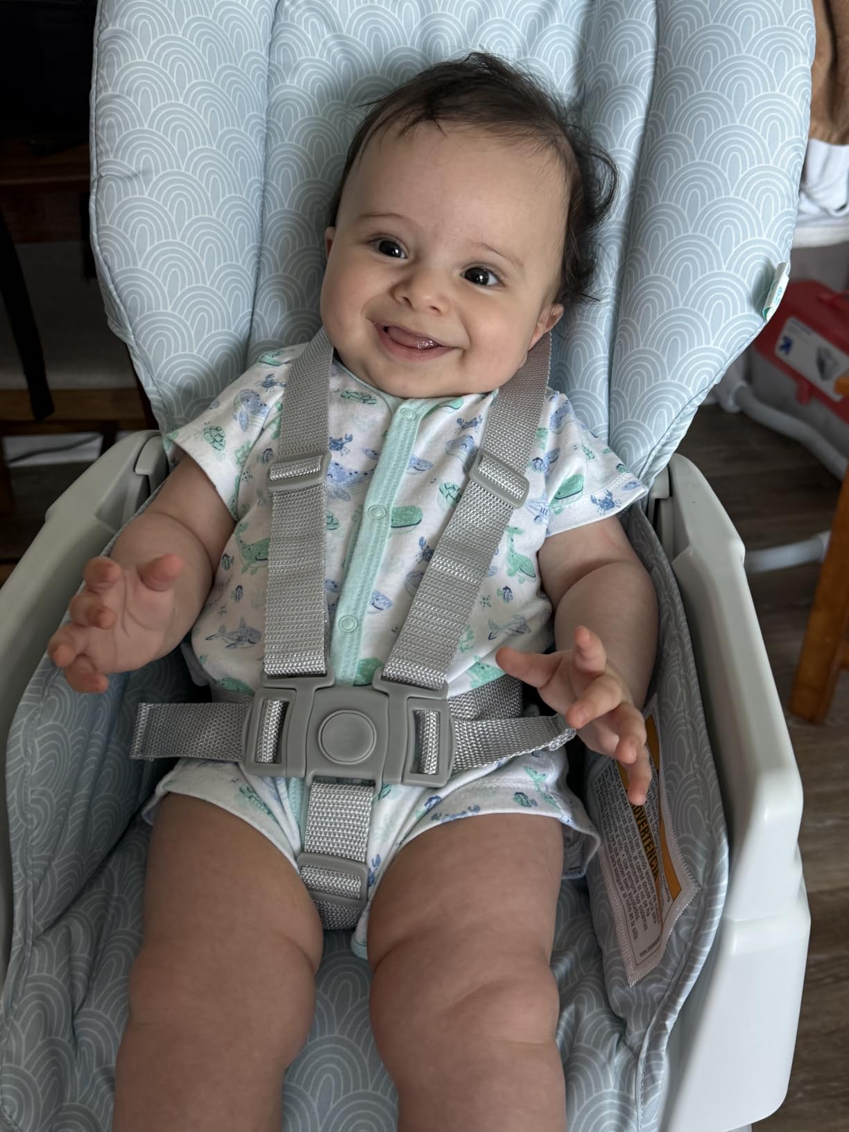 Graco Slim Snacker Highchair, Whisk customer photo 1