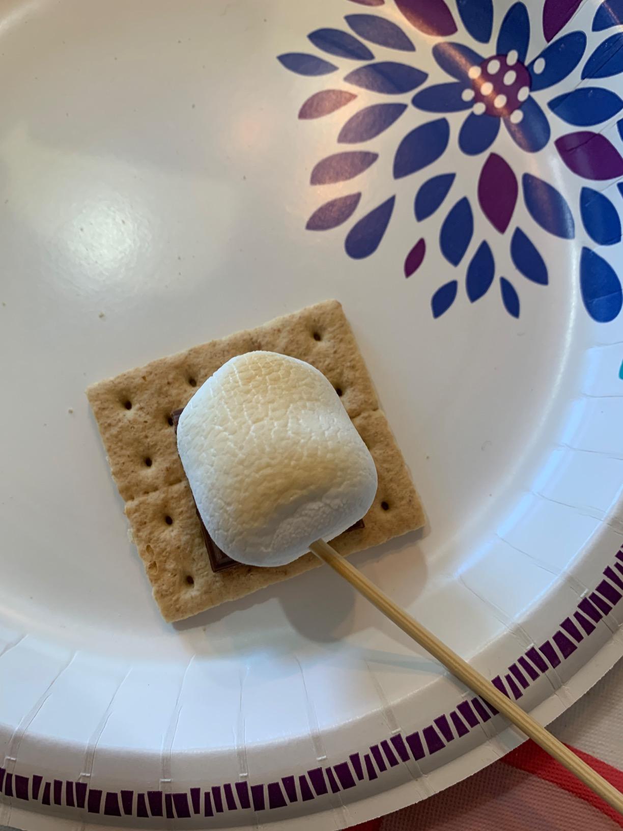 Nostalgia Tabletop Indoor Electric S'mores Maker - Smores Kit With Marshmallow Roasting Sticks and 4 Trays for Graham Crackers, Chocolate, and Marshmallows - Movie Night Supplies - Brown customer photo 2