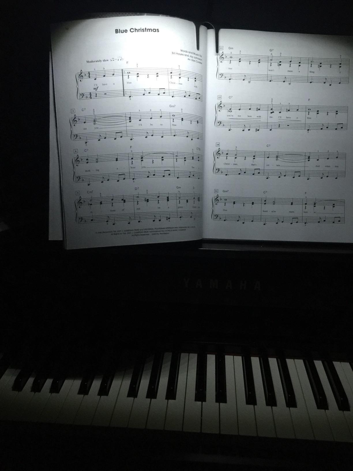 Lightess Clip On Dimmable LED Music Stand Piano Book Lamp Black customer photo 1