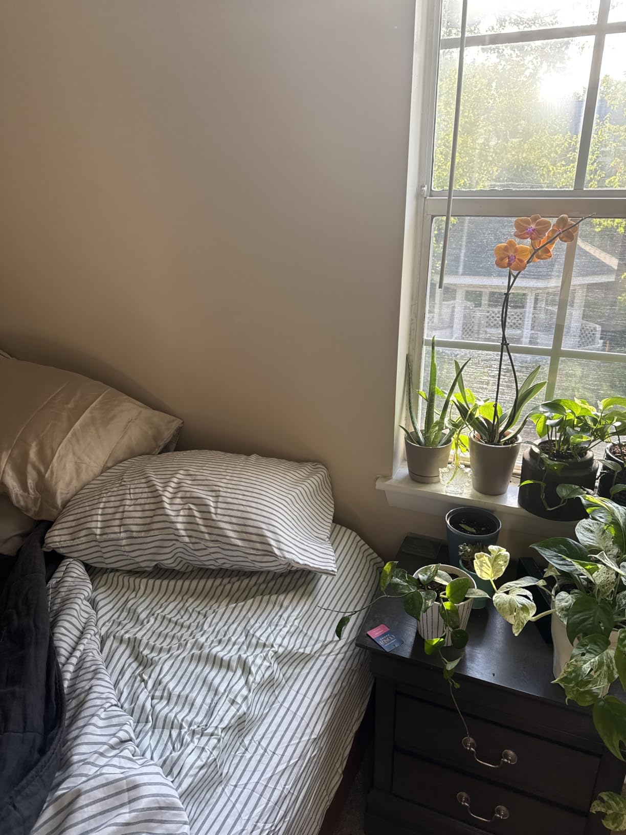 Queen Size 4 Piece Sheet Set - Comfy Breathable & Cooling Sheets - White customer photo 1