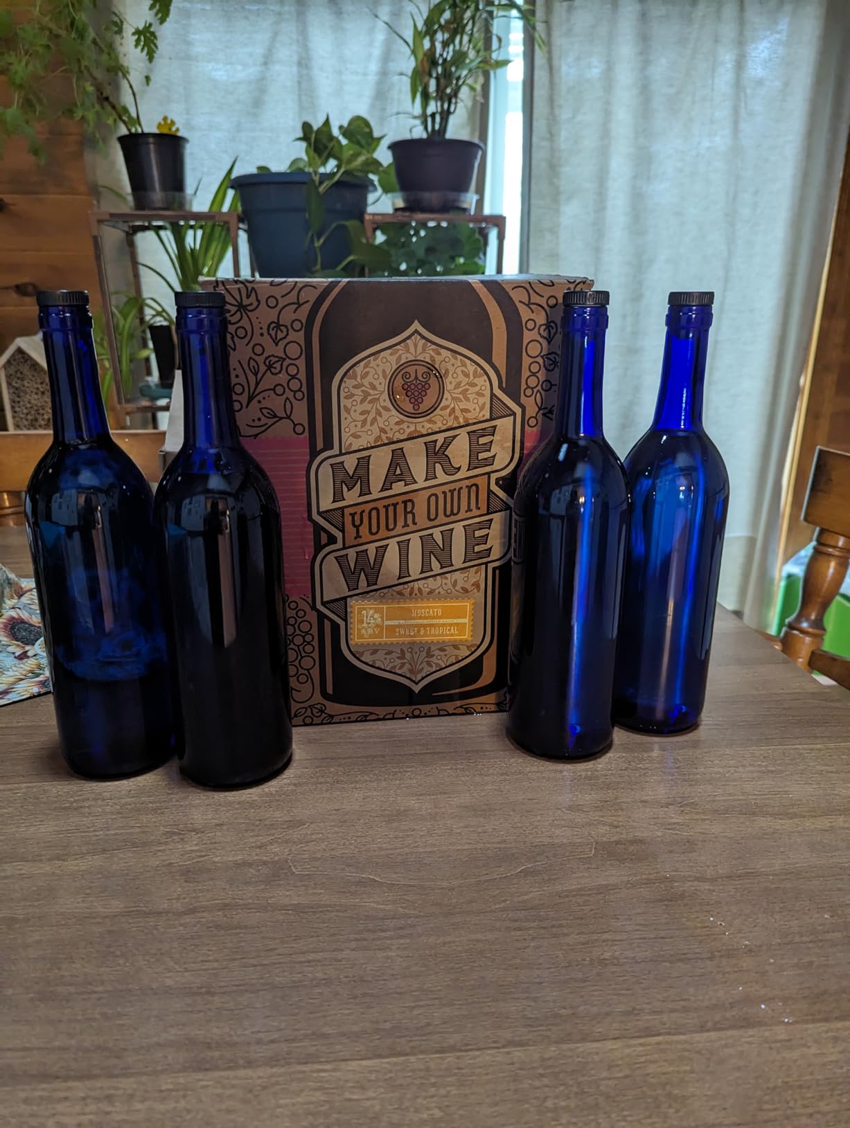 Craft A Brew Making Home Kit – Easy Brew Beginners with Ingredients and Supplies – Ultimate Wine Brewer Experience, 1 Gallon, Pinot Grigio customer photo 1
