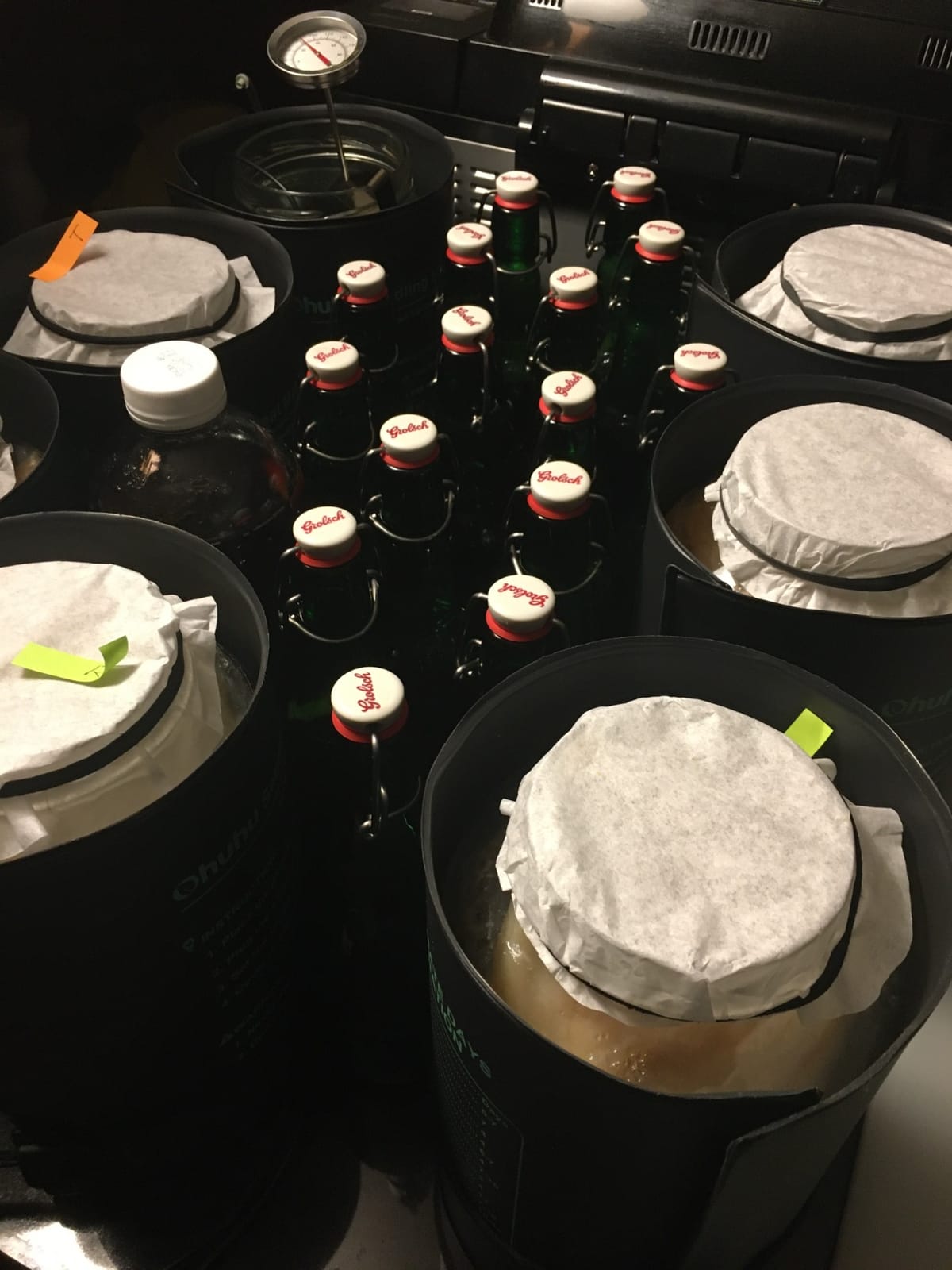 Fermentaholics ORGANIC Kombucha SCOBY With Twelve Ounces of Starter Tea - Live Starter Culture - Makes A One Gallon Batch - 1.5 Cups of Strong Mature Starter Tea - Brew Your Own Kombucha (1 Pack, 1, Count) customer photo 2