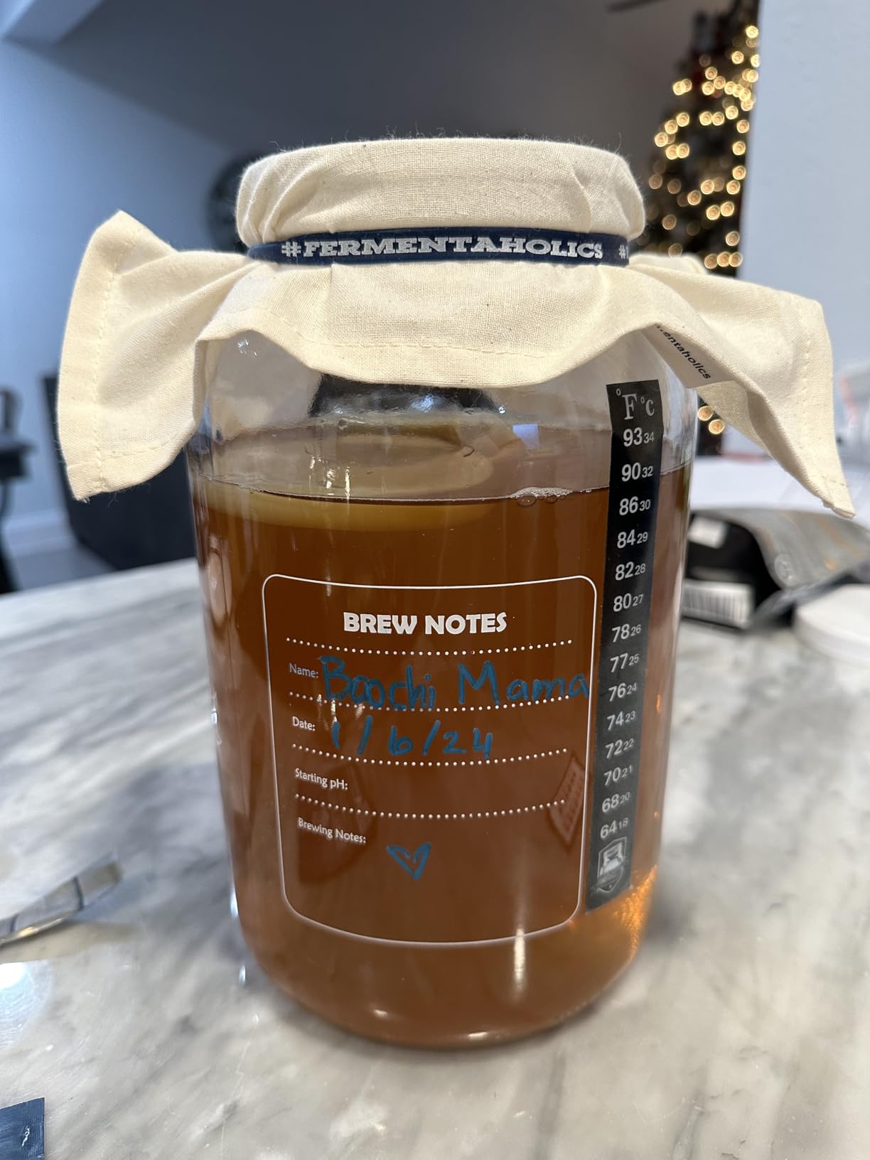 Fermentaholics Kombucha Brewing Starter Kit – USDA Certified Organic SCOBY & Tea, Complete Home Kombucha Making Kit with Culture, Kosher Certified customer photo 2
