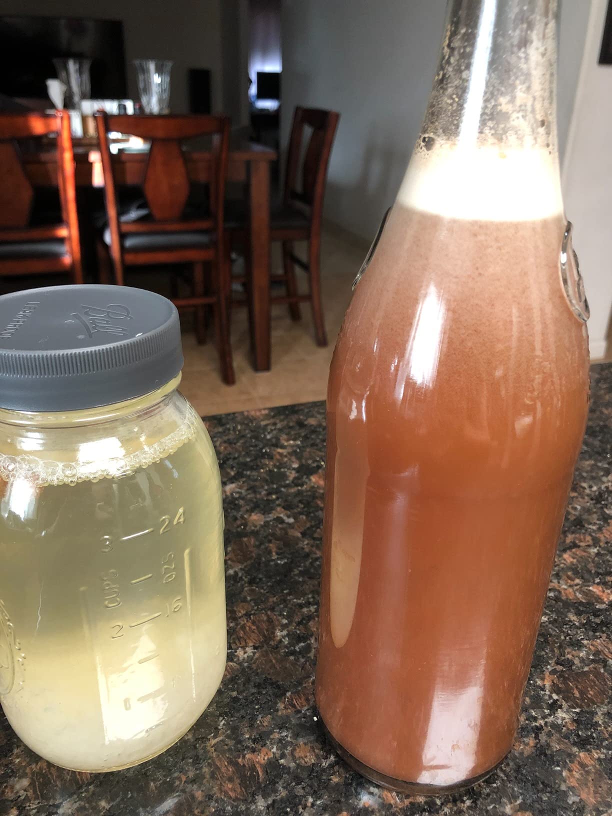Yemoos Dried Authentic Water Kefir Grains customer photo 2