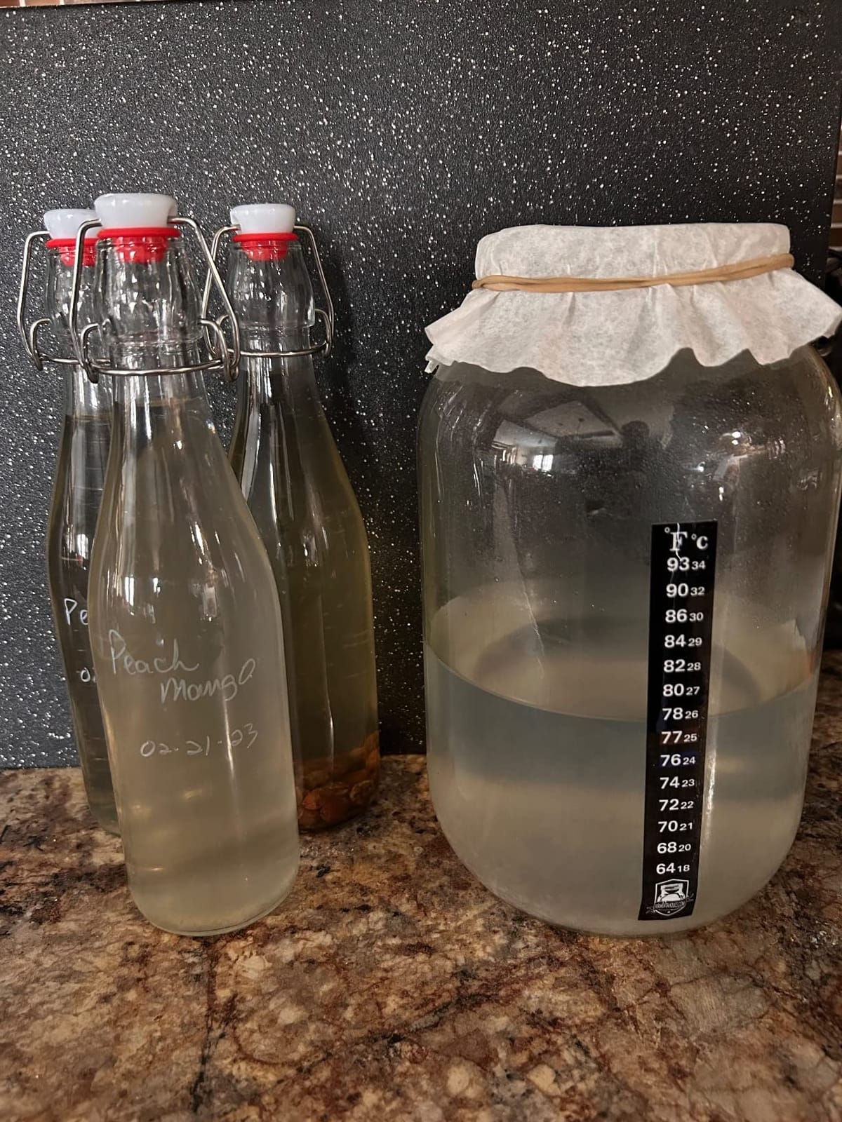 3 Pack Fermentation Adhesive Strip Thermometer - Displays Temperature in Degrees Celsius & Fahrenheit - Great for Kombucha, Beer, Wine, Vegetable Fermentation (Standard, 64 to 93, Degrees Fahrenheit) customer photo 2