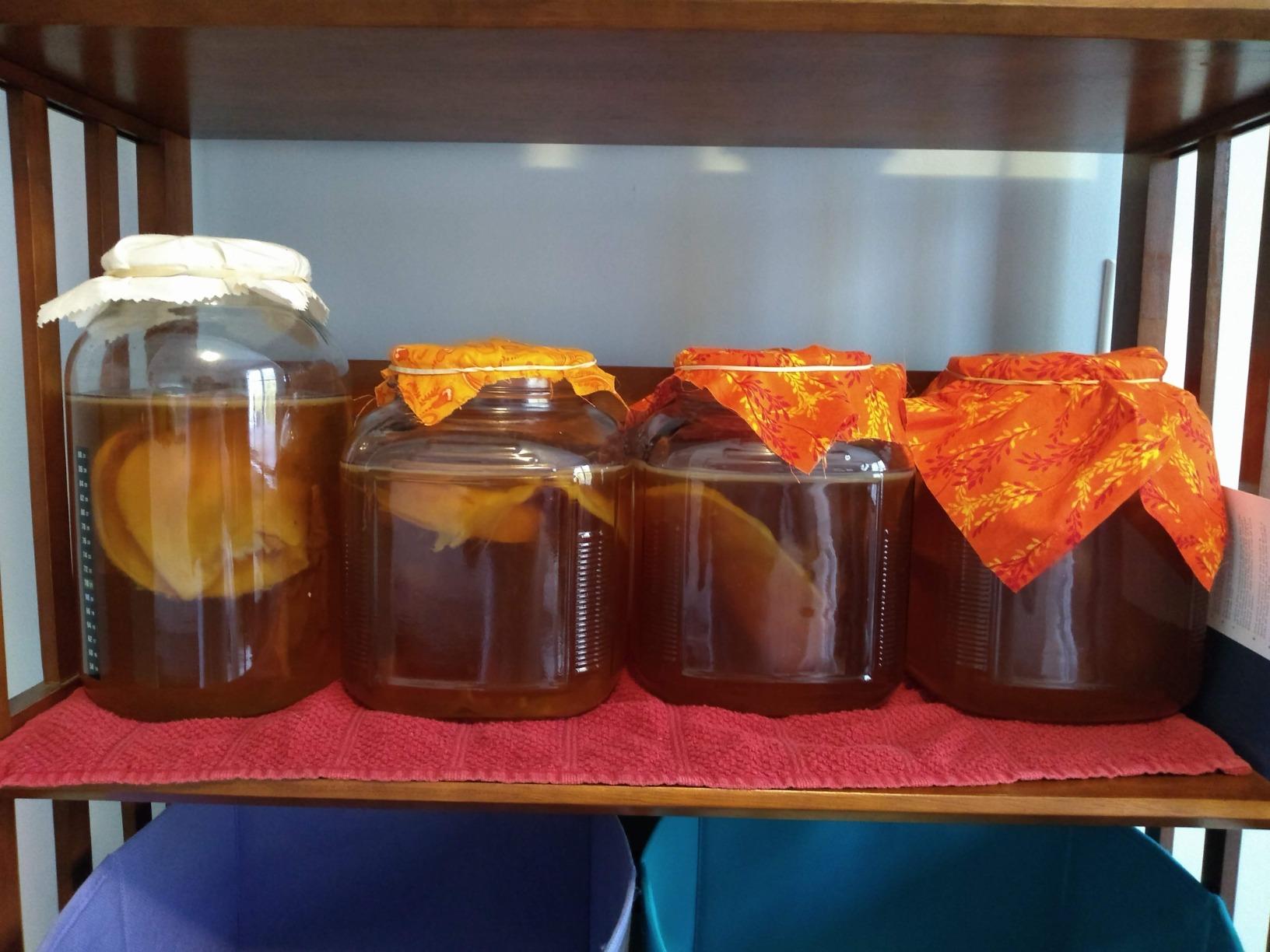 Starter Kit – Includes Organic SCOBY, Starter Liquid, 1 Gallon Glass Jar, Temp Gauge, Tea, and Sugar customer photo 2