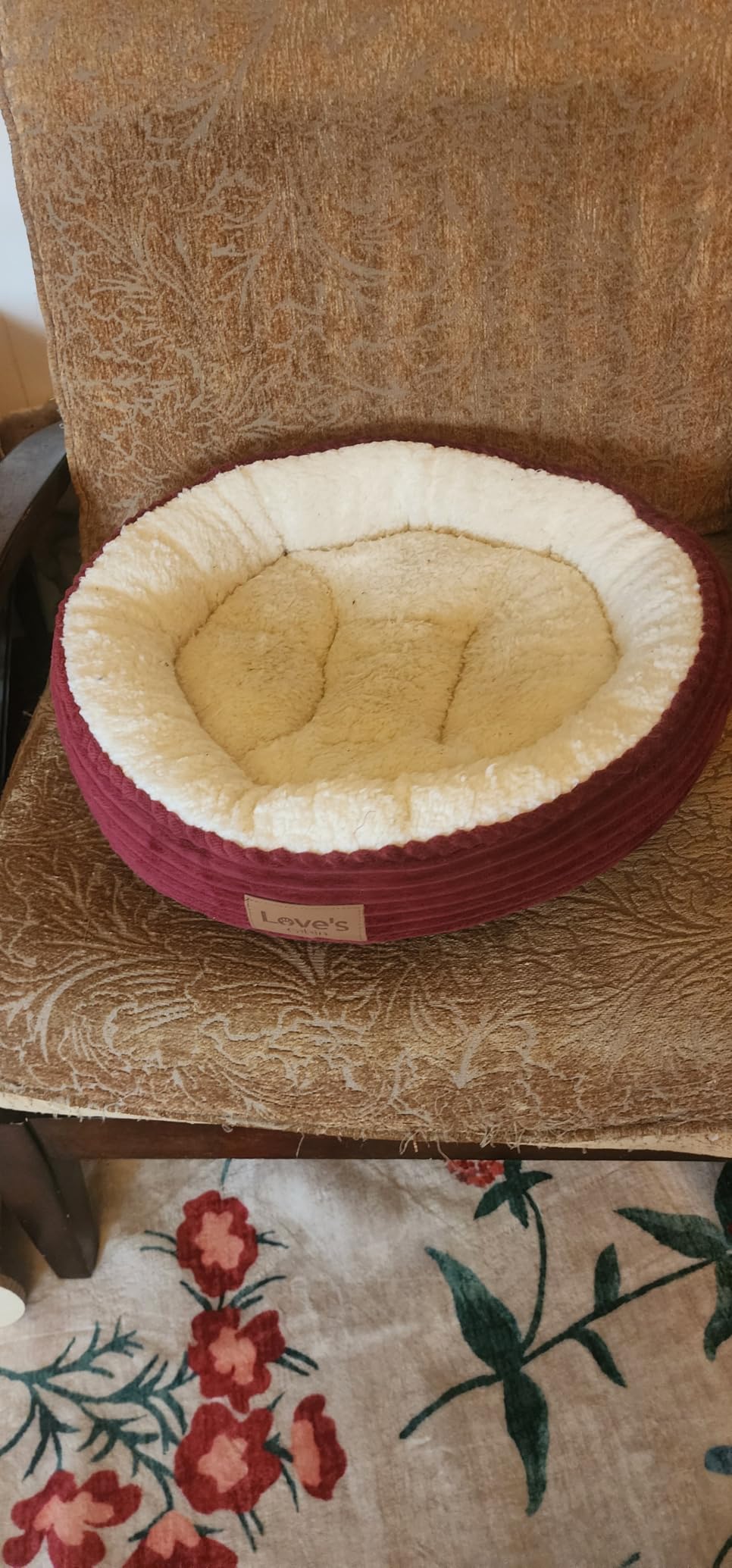 Love's cabin Round Donut Cat and Dog Cushion Bed, 20in Bed for Cats or Small Dogs, Anti-Slip & Water-Resistant Bottom, Super Soft Durable Fabric Pet Beds, Washable Luxury Cat & Dog Bed Gray customer photo 1