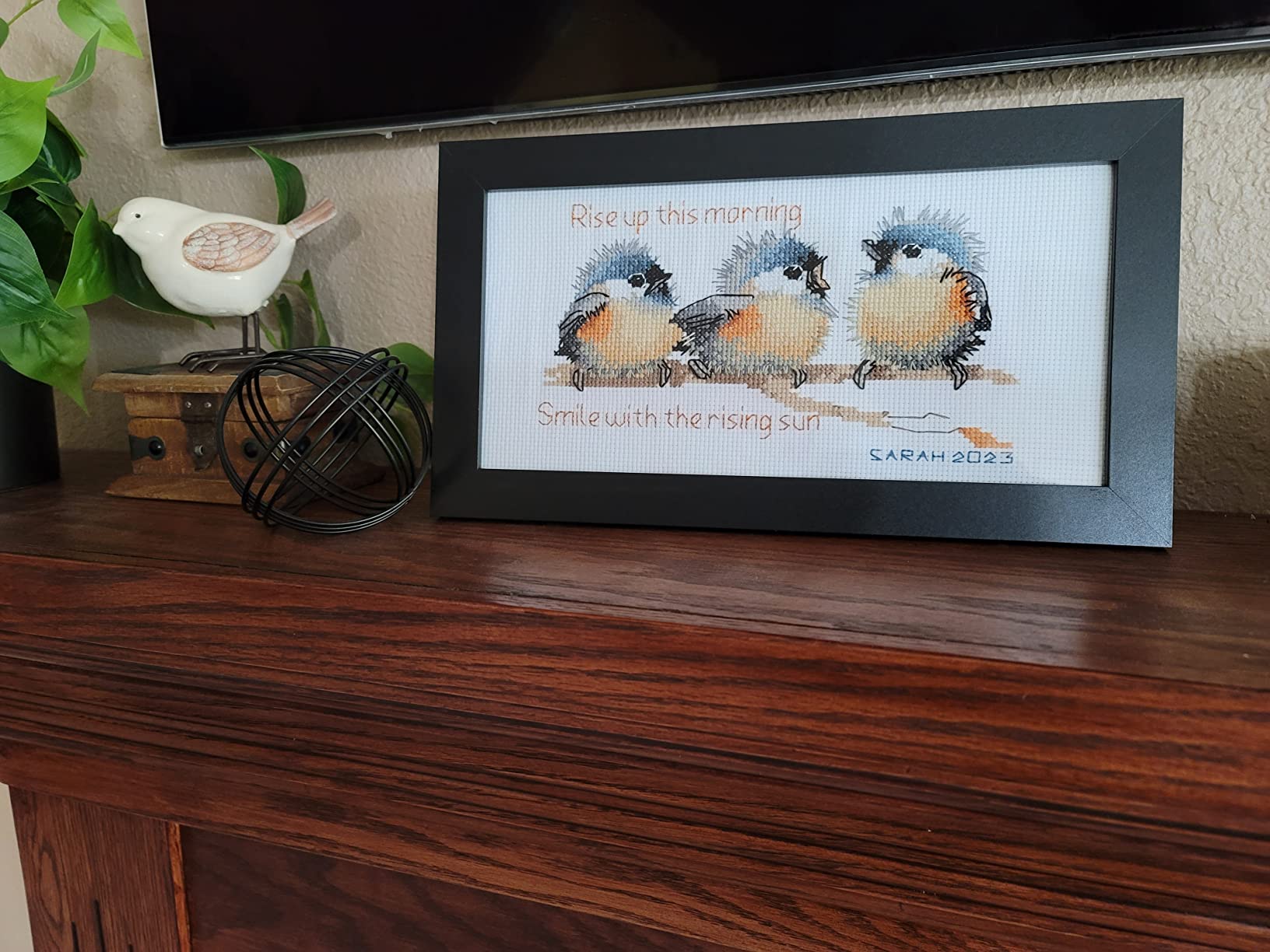 Cross Stitch Kits, Three Birds Awesocrafts Easy Patterns Cross Stitching Embroidery Kit Supplies Christmas Gifts, Stamped or Counted (Birds, Stamped) customer photo 1