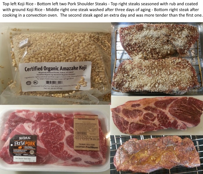 Rhapsody Organic Koji customer photo 1