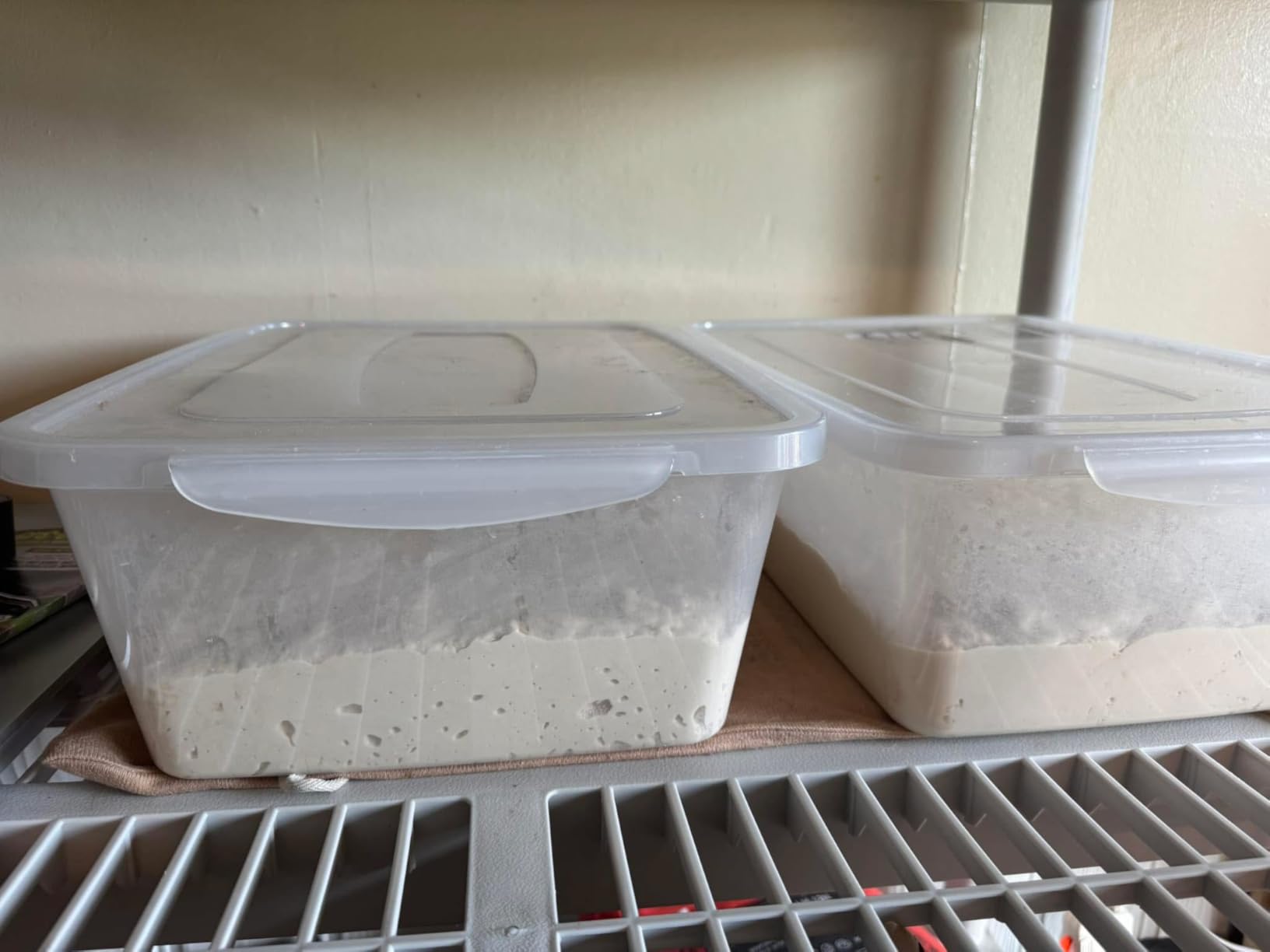 Vababa 2-Pack 16 L Pizza Dough Proofing Box with Lid, Dough Rising Box customer photo 2