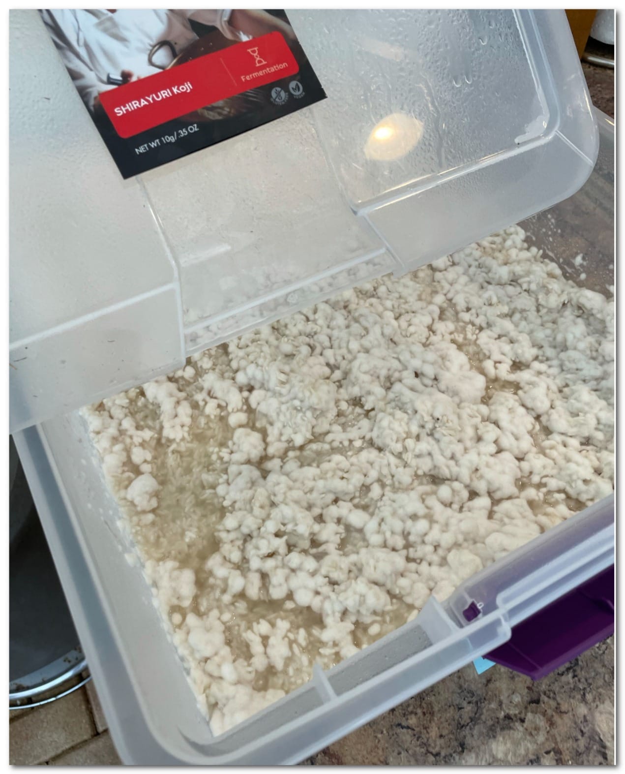 Shirayuri Koji [Aspergillus oryzae] Spores Gluten-Free Vegan - 200g/8oz customer photo 1