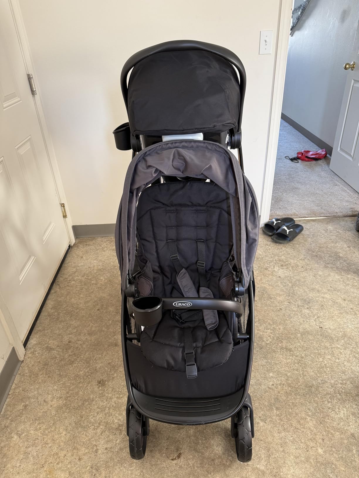 Graco Ready2Grow LX 2.0 Double Stroller, Clark customer photo 1