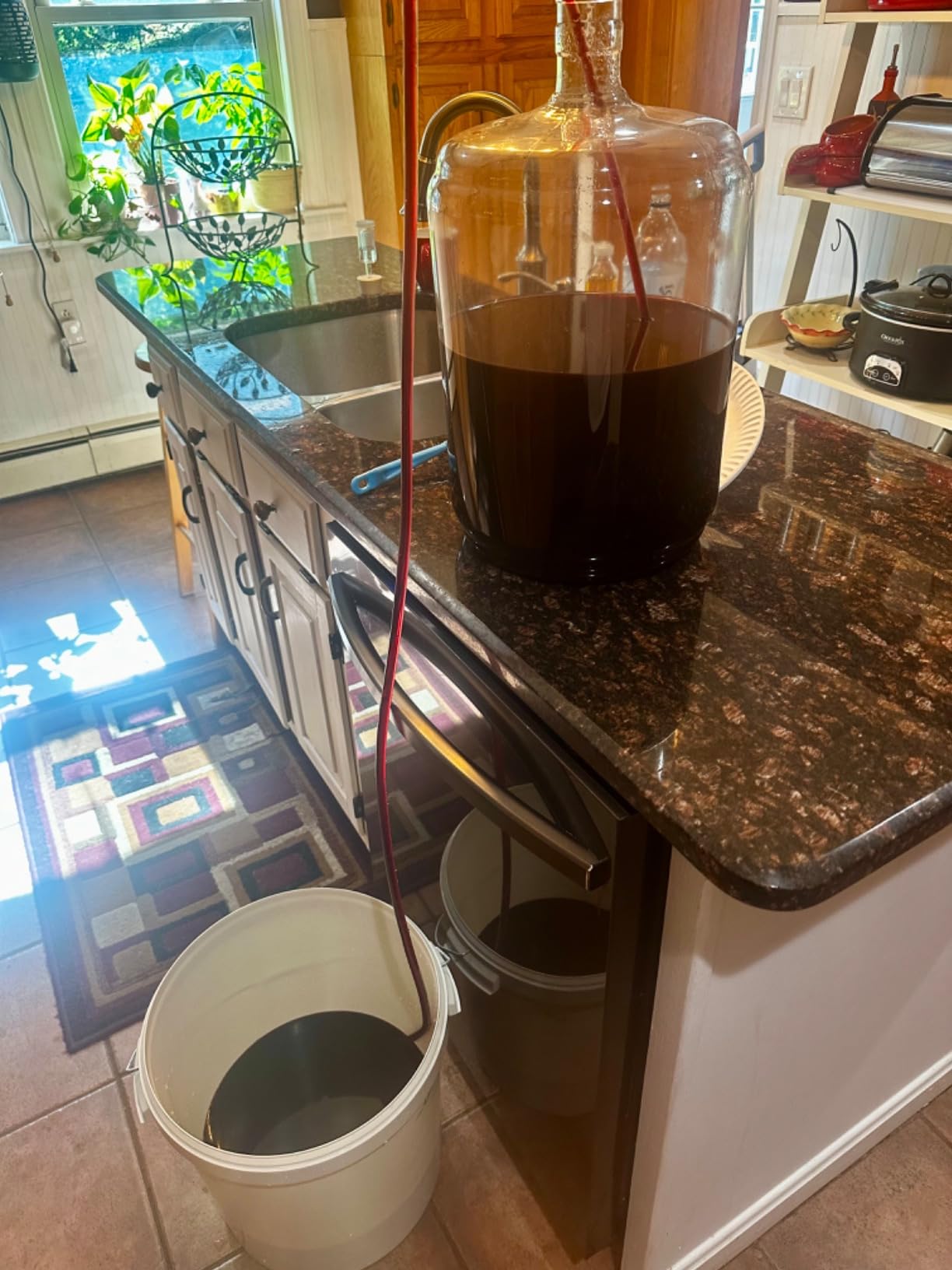 Fontana French Cabernet Sauvignon Wine Making Kit | 6 Gallon Wine Kit customer photo 1