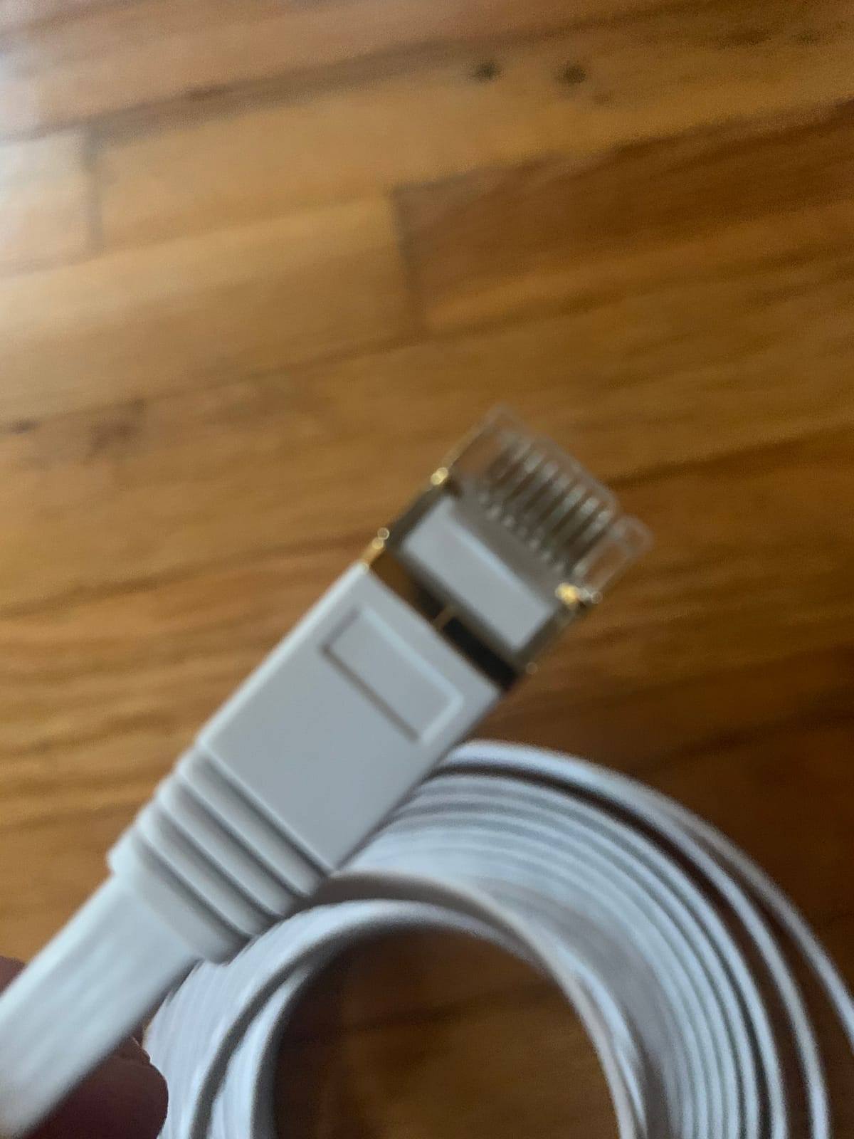 Cat7 Ethernet Cable 100 ft, High Speed Long Shielded Internet Network Cable customer photo 1