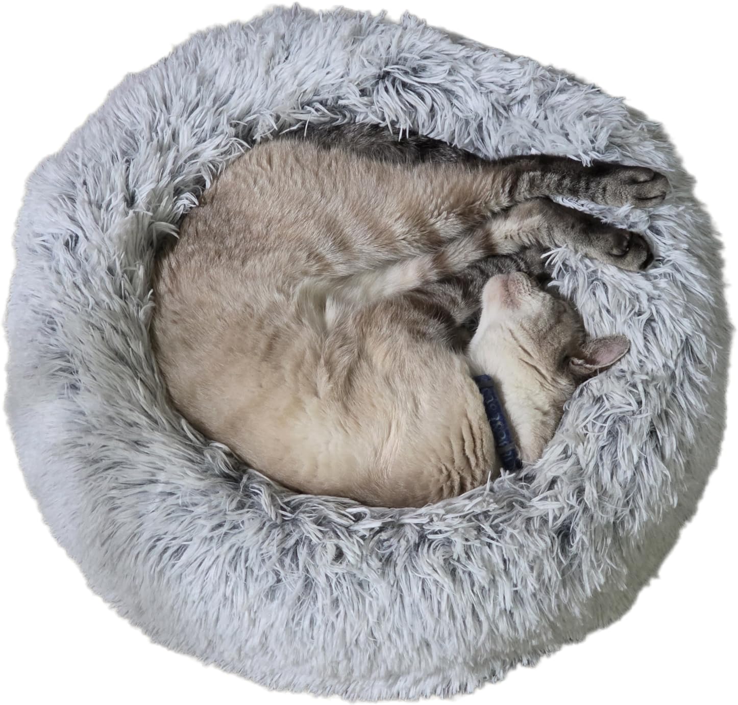 WESTERN HOME WH Calming Soft Round Dog &Cat Bed Small Dog Bed Washable,20