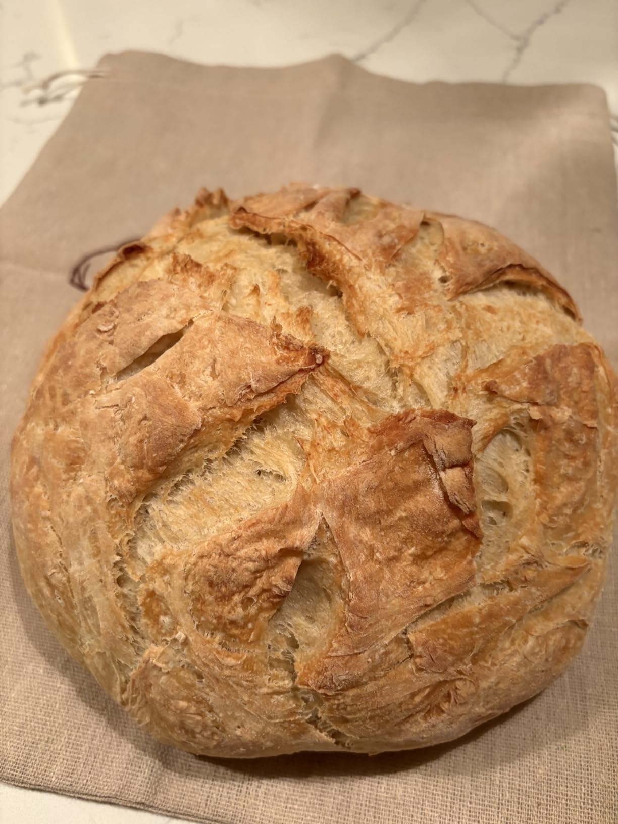 Orblue Bread Lame, Dough Scoring Tool with 12 Blades customer photo 1