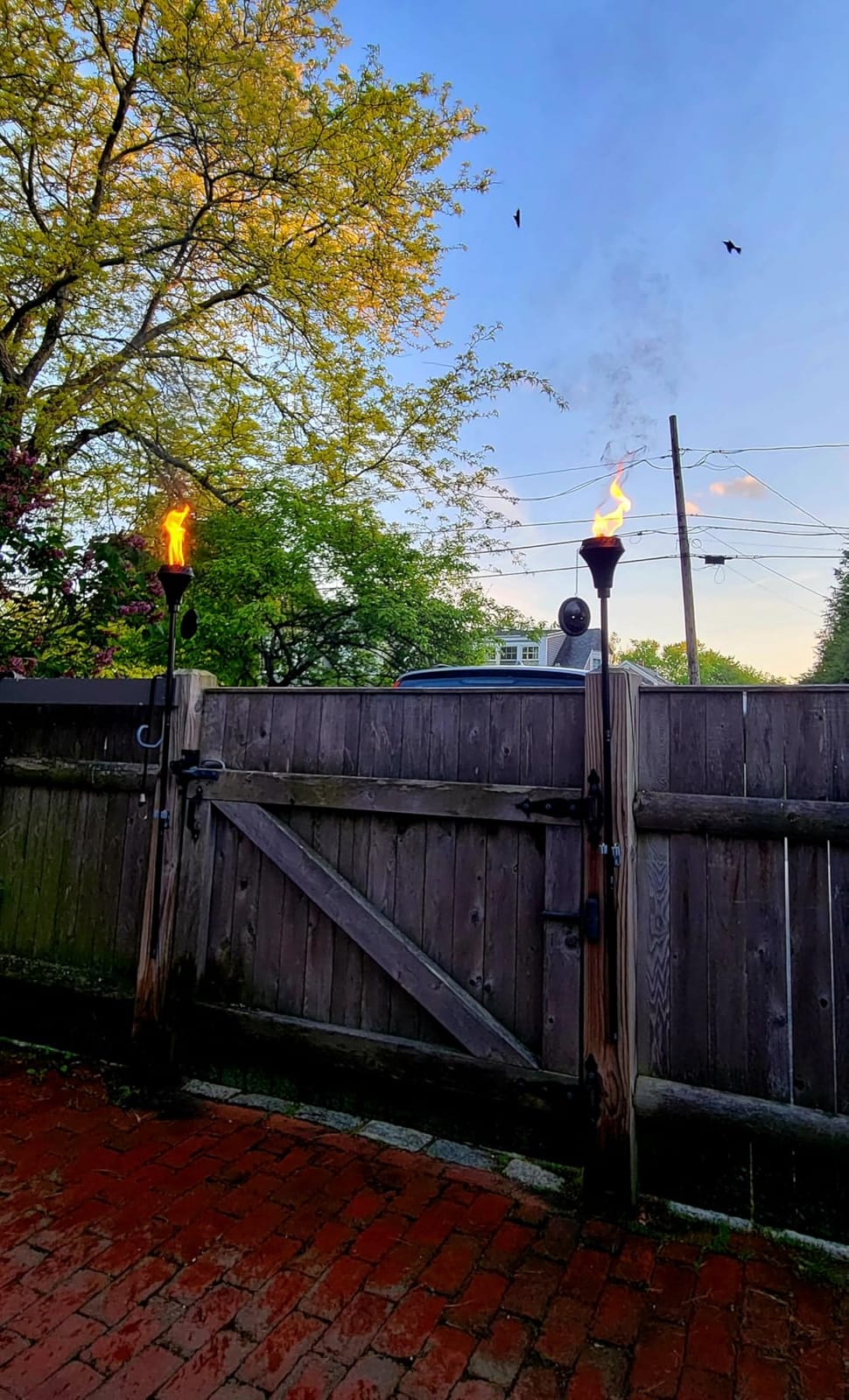 TIKI Island King Outdoor Torch Weather-Resistant Backyard Garden Décor customer photo 2