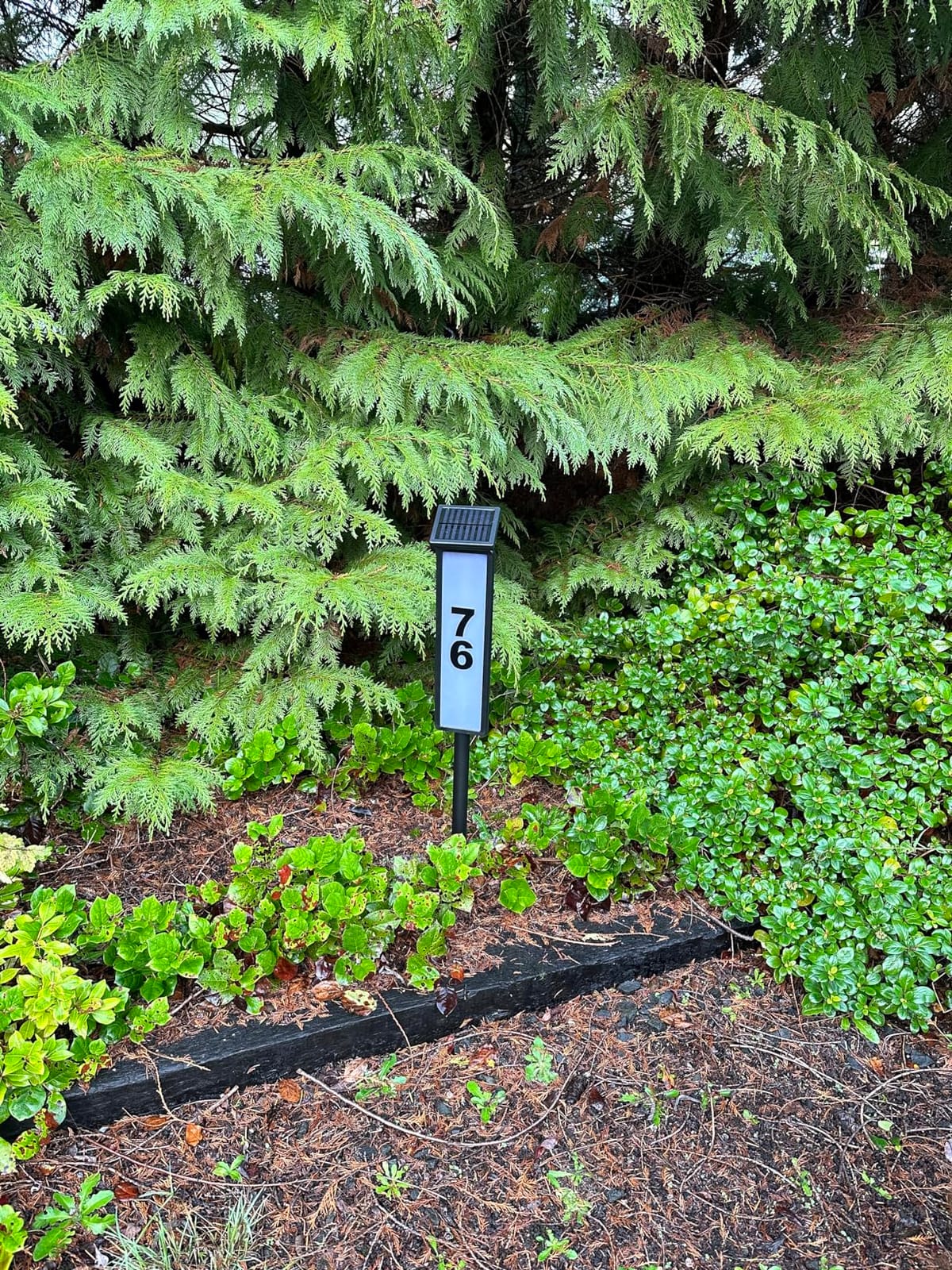 ATDAWN Solar Lighted House Address Numbers Sign, Solar Powered House Numbers Light, LED Illuminated Outdoor Address Plaque for Home Yard Garden House customer photo 1