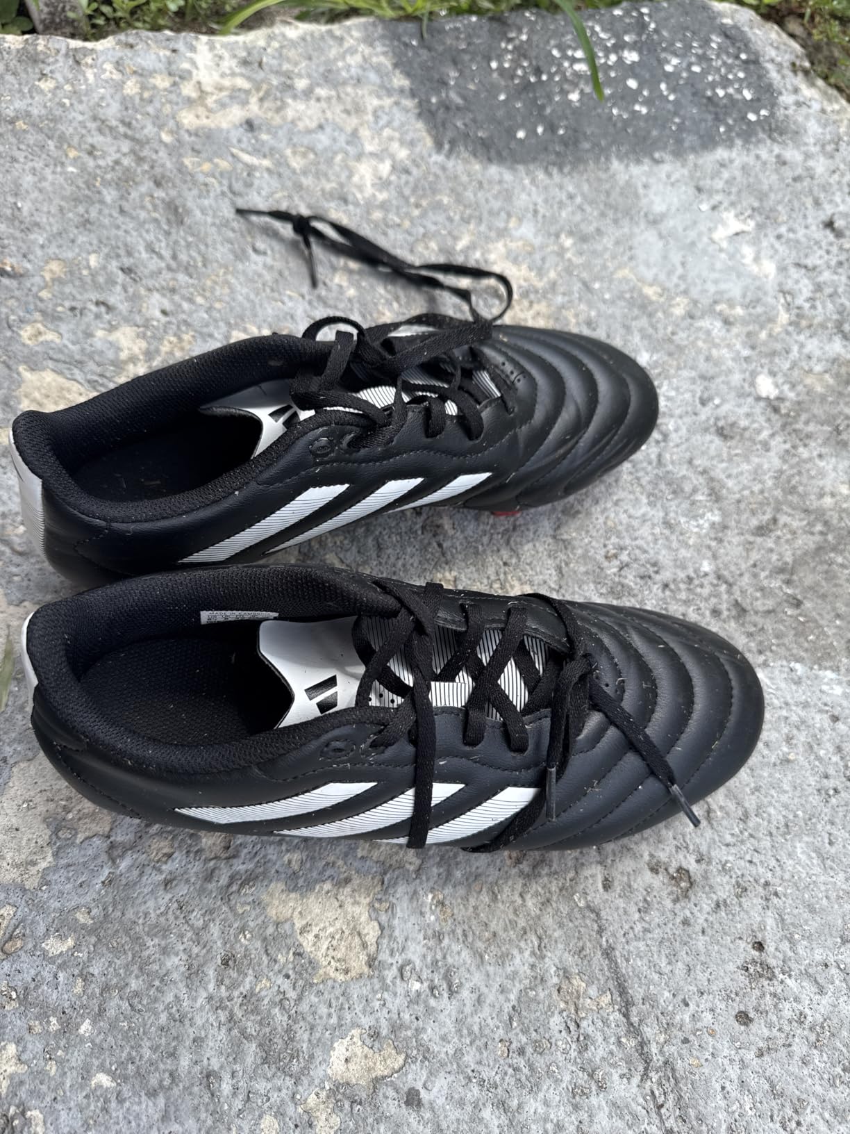adidas Unisex Goletto Firm Ground Soccer Shoes customer photo 2