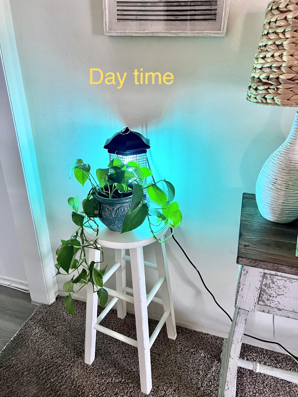 AMUFER Bug Zapper Outdoor & Indoor, 18W & 4400V, 1/2 Acre, 5.5-Ft Cord customer photo 1