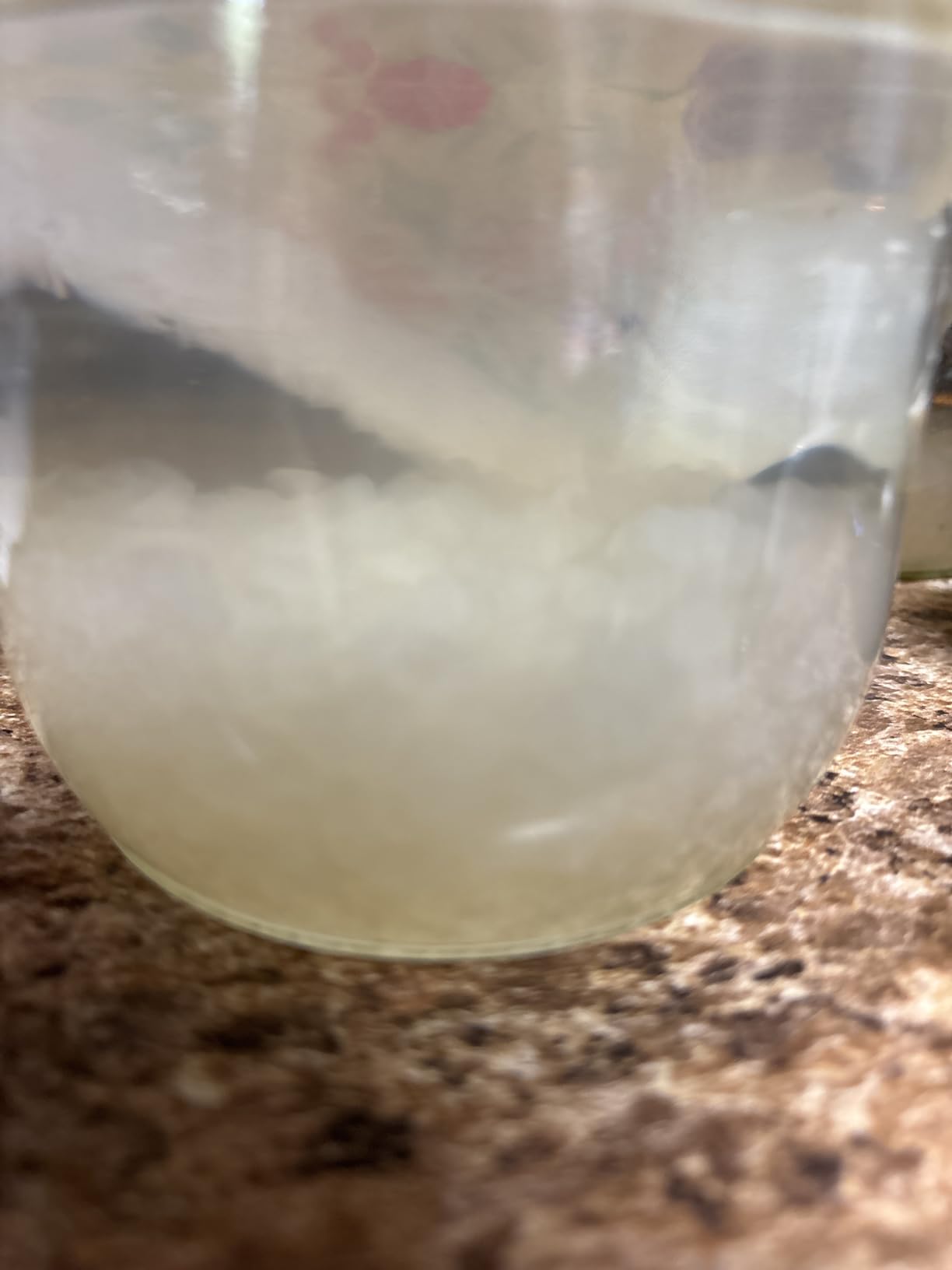 Natural Probio® Water Kefir Grains - Starter Culture Kit – Fruit Kefir + Complete Guide, Recipe & Tips + Ebook Library Access + Customer Support (0.35 oz dehydrated / 2.12 oz rehydrated) customer photo 2