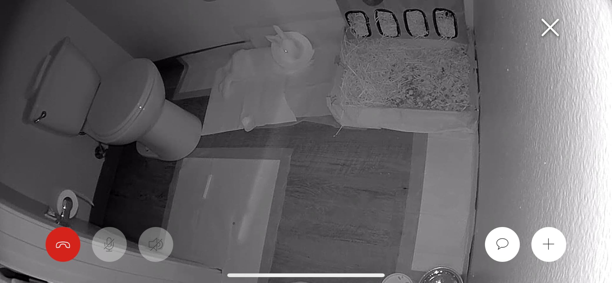 Ring Indoor Cam (newest model) — Home or business security in 1080p HD video, White customer photo 2
